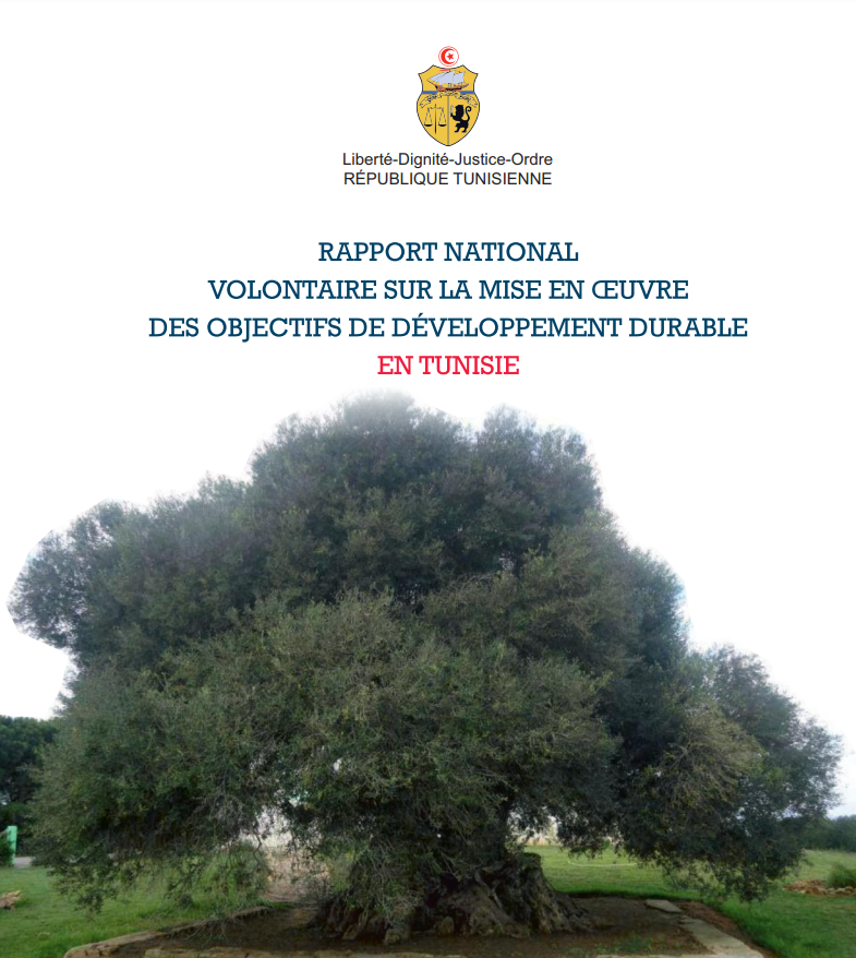 Rapport national volontaire