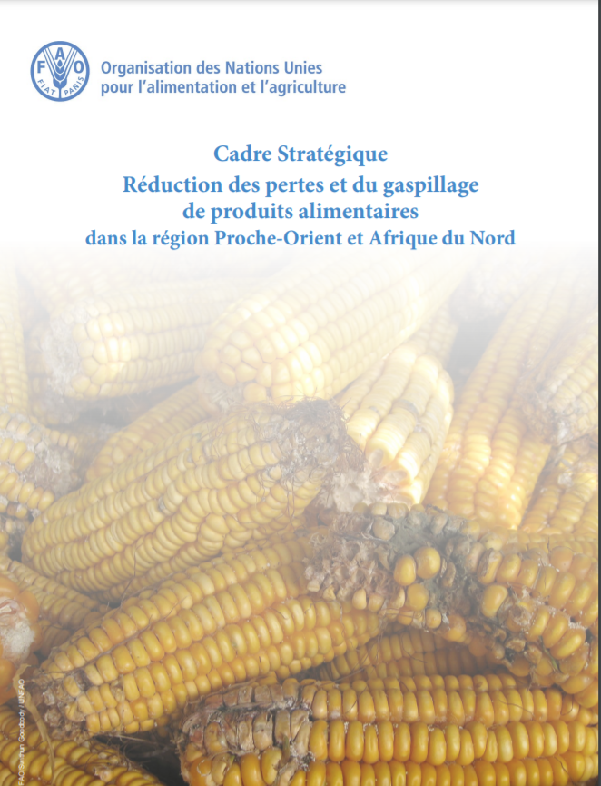Cadre Stratégique Réduction des pertes et du gaspillage de produits alimentaires dans la région Proche-Orient et Afrique du Nord