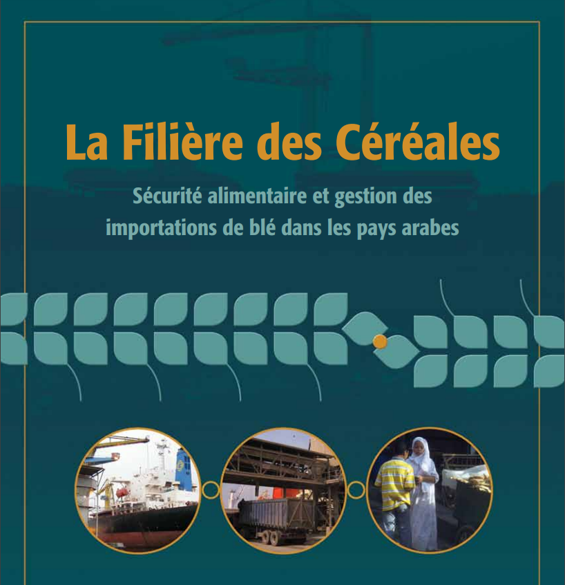 قطاع الحبوب: الأمن الغذائي وإدارة واردات القمح في الدول العربية