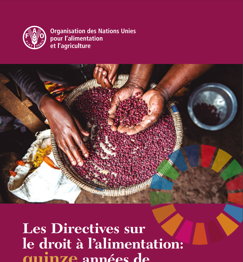 Les Directives sur le droit à l’alimentation : quinze années de mise en œuvre Bilan des avancées en matière de réalisation du Programme 2030
