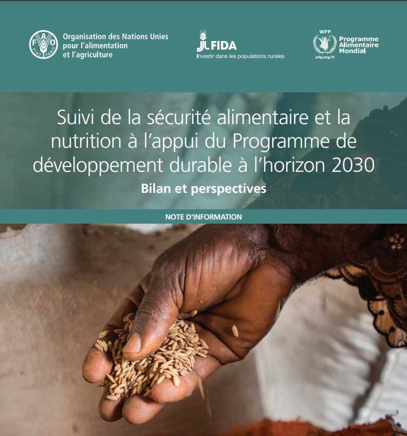 Monitoring food security and nutrition in support of the 2030 Agenda for Sustainable Development Assessment and outlook
